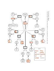 Full Download Answer Key Chapter 11 Concept Map 