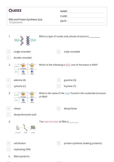 Read Answer Key Rna And Protein Synthesis Quiz 