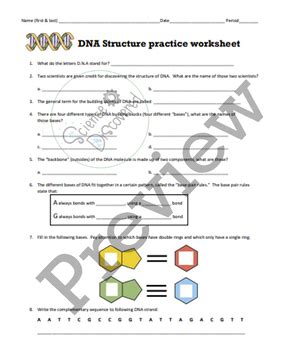 answers to dna structure practice