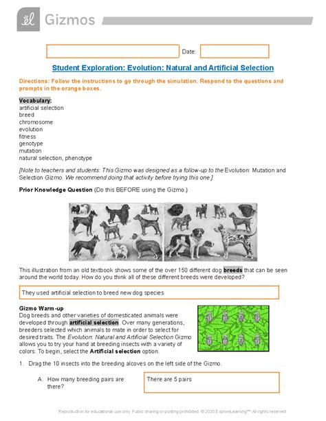 answers to evolution and selection pogil