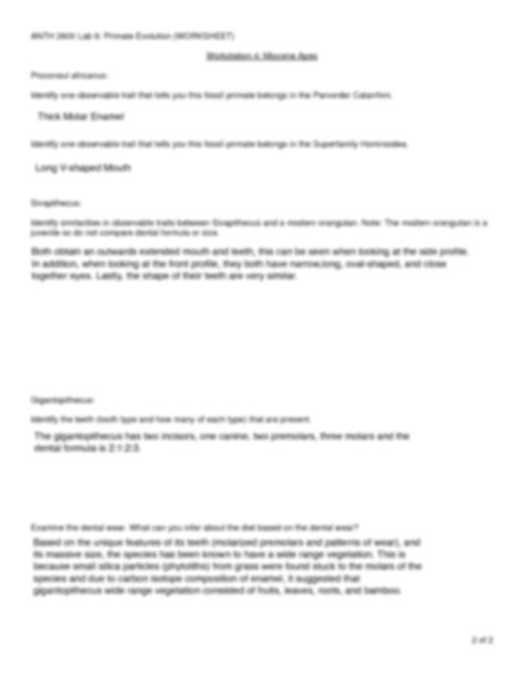 Answers To Study Guide Primate Evolution