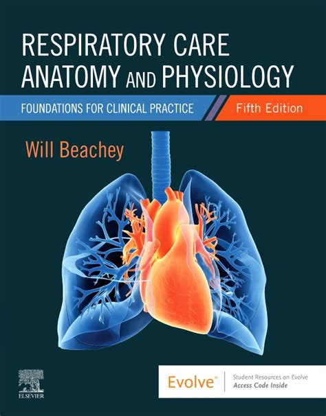 Read Online Answers For Beachey Respiratory Anatomy And Physiology 