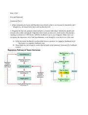 Read Answers To Hot And Bothered Case Study 