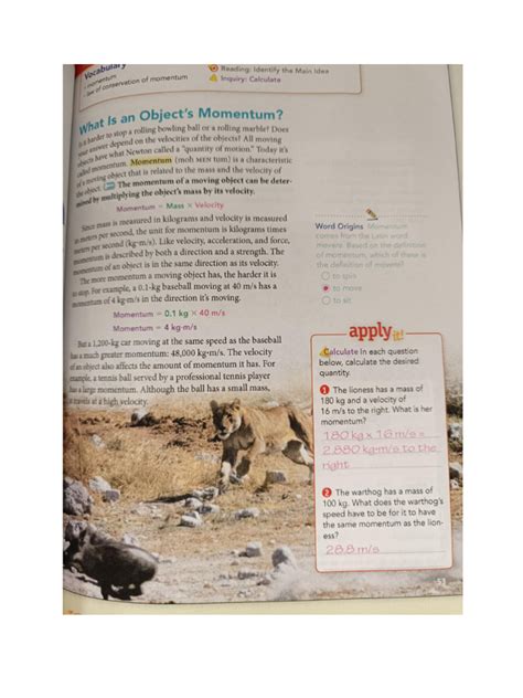 Read Online Answers To Momentum Page 