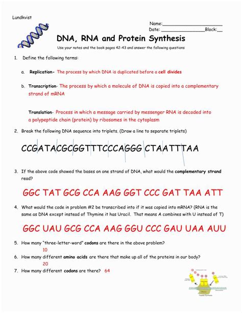 Full Download Answers To Replication And Protein Synthesis Webquest 