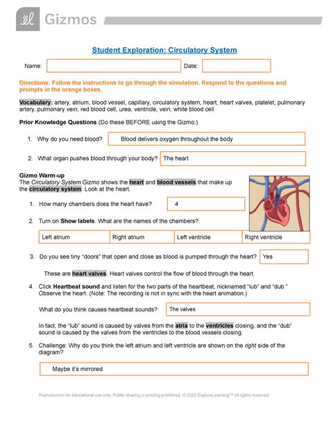 Download Answers To Student Exploration Circulatory System Gizmo 