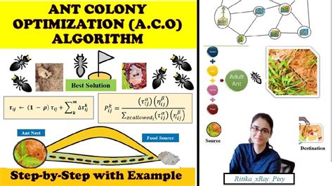 ant colony optimization matlab toolbox