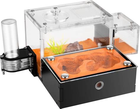 Ant Farm Kit