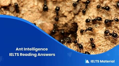 Ant Intelligence Reading Answers