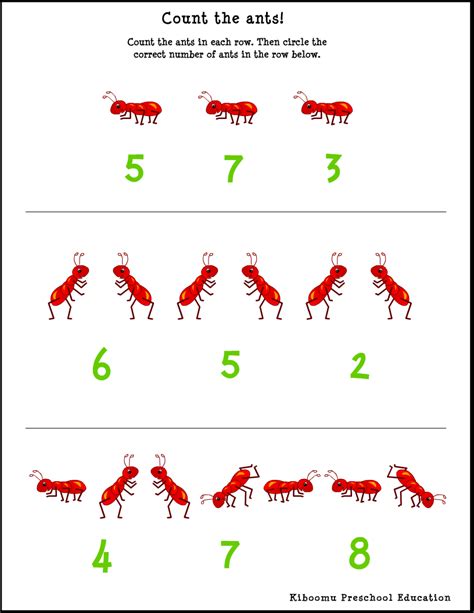 Ant Math   Ants Use Math To Find Fastest Route Insect - Ant Math