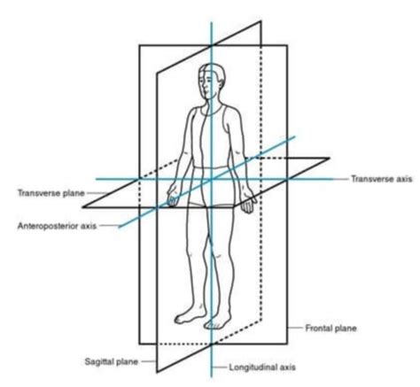 Anteroposterior Direction