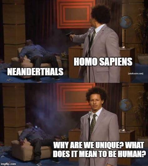 Anthropologie Memes