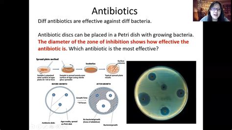 Antibiotic Resistance Cie A Level Biology Teaching Resources Antibiotic Resistance Worksheet - Antibiotic Resistance Worksheet