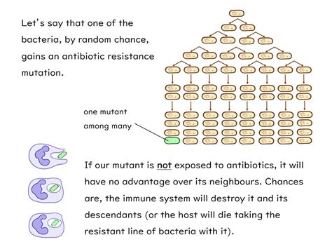 Antibiotic Resistance Worksheet   Aqa Inheritance Variation And Evolution Lesson 10 Resistant - Antibiotic Resistance Worksheet