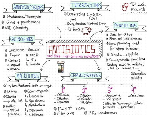 Antibiotics Made Easy