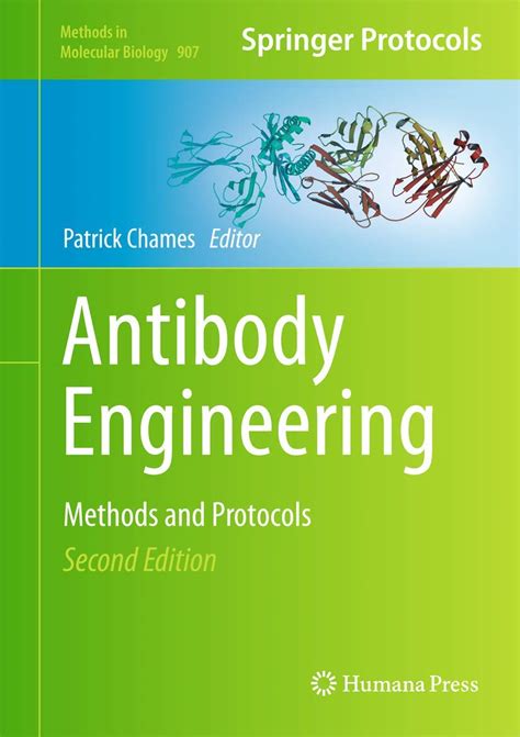 Antibody Engineering Methods And Protocols Method
