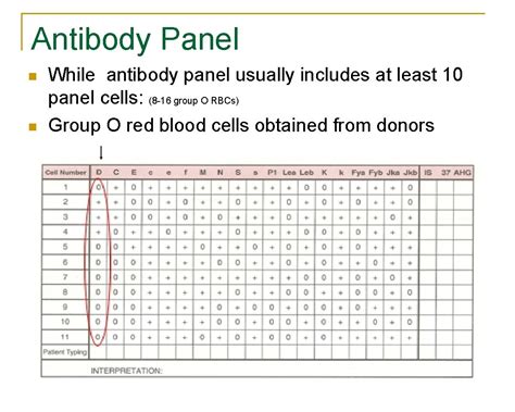 Antibody Identification Panel Practice