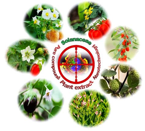 Anticancer Potential Of Plants And Natural Products A Review