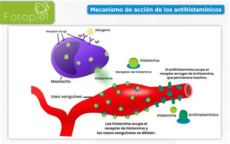antihistaminicos mecanismo de accion pdf