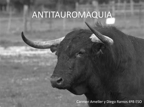Antitauromaquia