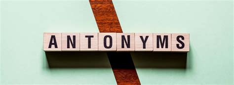 Antonym Website
