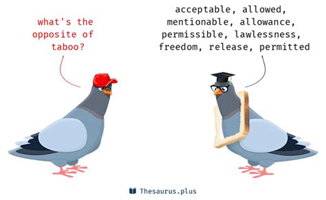 Antonyms For Taboo