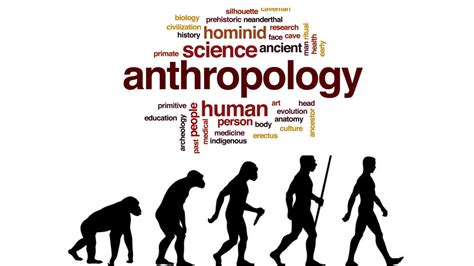 Antropologi