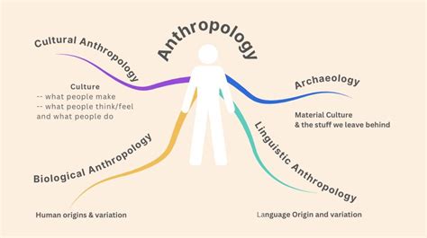 antropology definition
