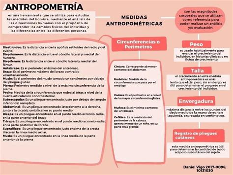 Antropometria Mapa Conceptual 5