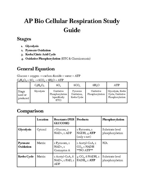 Ap Bio Cellular Respiration Study Guide