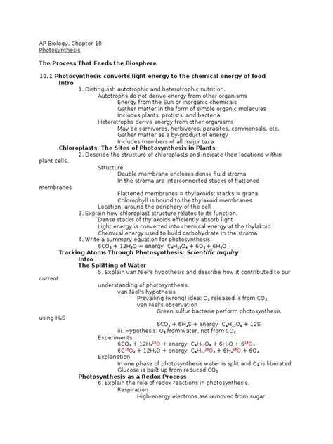 Ap Biology Chapter 10 Notes