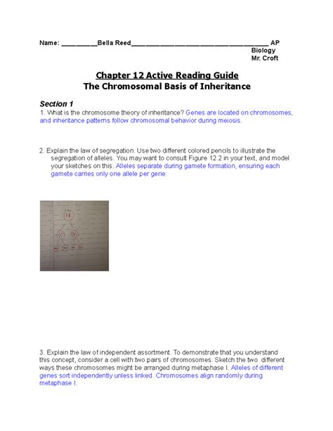 Ap Biology Chapter 12 Reading Guide Answers
