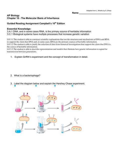 Ap Biology Chapter 16 D Reading Assignment Answers