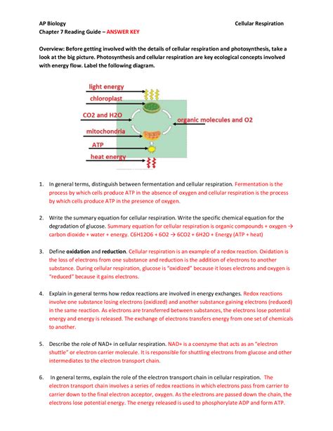 Ap Biology Chapter 7