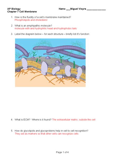 Ap Biology Chapter 7 Guided Reading Assignment Answers