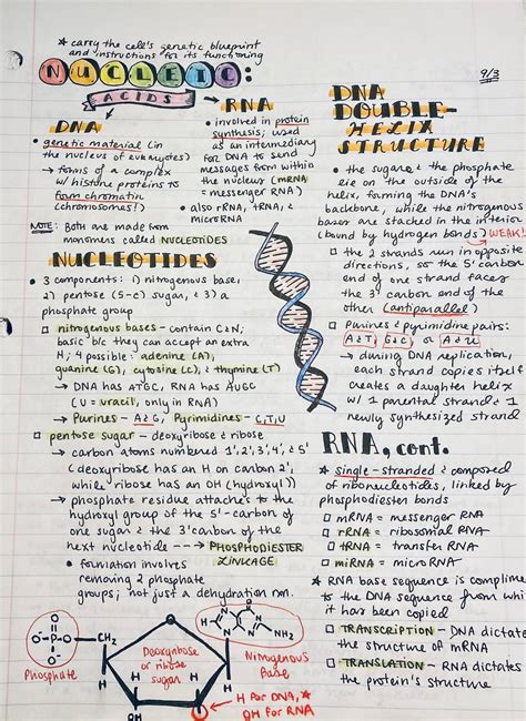 Ap Biology Notes