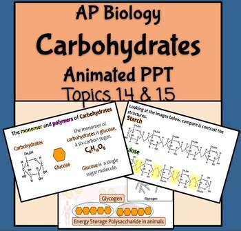 Ap Biology Topic 1 4 Carbohydrates Worksheet Live Carbohydrates Worksheet Biology - Carbohydrates Worksheet Biology