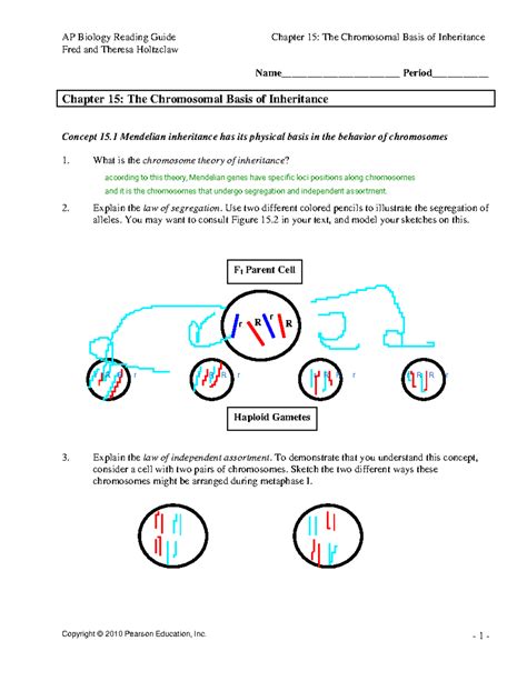 Ap Chapter 15 The Chromosomal Basis Of Inheritance Answers