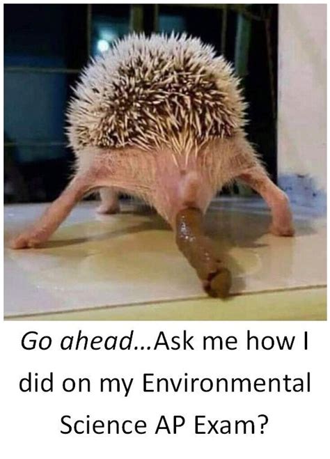 Ap Environmental Science Memes