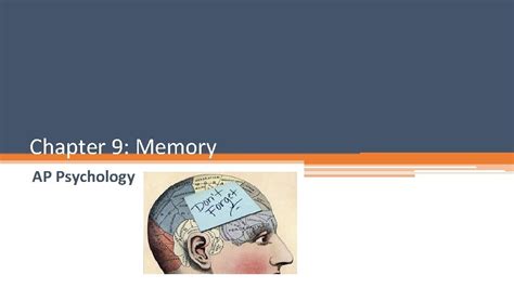 Ap Psychology Chapter 9 Memory Study Guide Answers