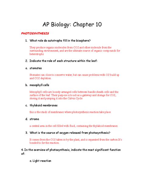 Download Ap Biology Chapter 10 Photosynthesis Study Guide Answers 