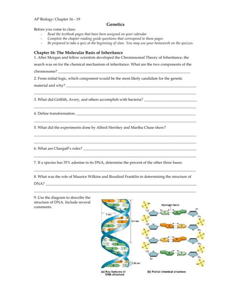 Read Online Ap Biology Chapter 16 Review 