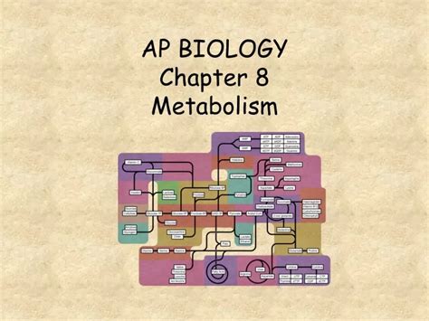 Full Download Ap Biology Chapter 8 Metabolism 