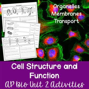 Read Online Ap Biology Name Reading Packet 2 Cells Unit Chapter 6 A 