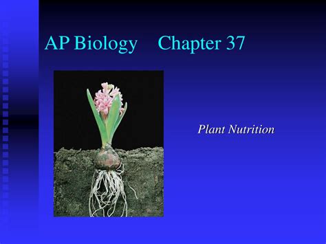 Read Ap Chapter 37 Plant Nutrition Explore Biology 