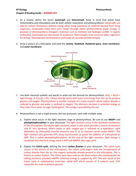 Download Ap Reading Guide Chapter 8 