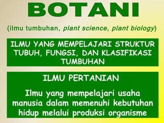 Apa Itu Botani