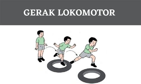 APA ITU LOKOMOTOR 🦑 GERAK LOKOMOTOR, NON LOKOMOTOR, DAN MANIPULATIF