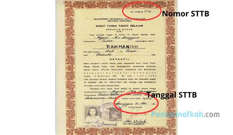 APA ITU STTB - Ijazah sama sttb itu sama atau beda bang? Kok saya cari