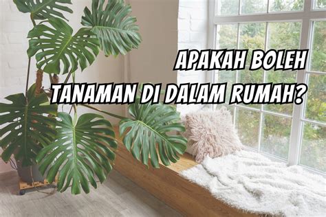 apakah boleh | Apakah boleh Panduan Terbaru 2024 untuk Melakukan